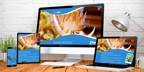 Projektbeispielbild von IfMB
